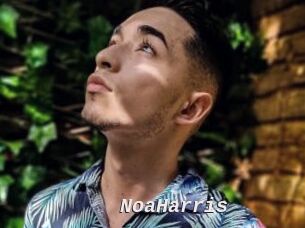 NoaHarris