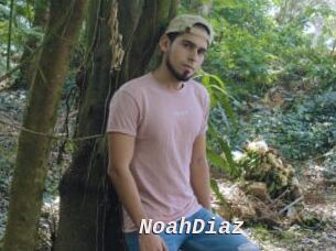 NoahDiaz