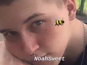 NoahSweet