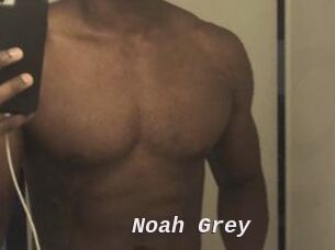 Noah_Grey