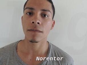 Noren_tor