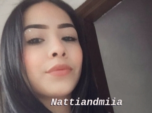 Nattiandmiia
