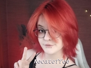necatoffee Live Camgirls Sex