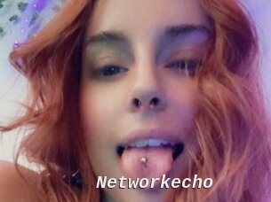 Networkecho