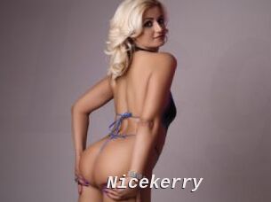 Nicekerry