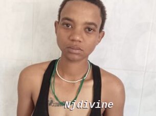 Njdivine