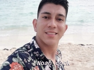 noah_cock Live Camgirls Sex