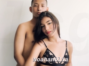 Noahandlia