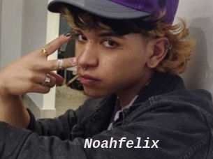 noahfelix Live Camgirls Sex