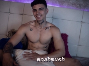 noahmush Live Camgirls Sex