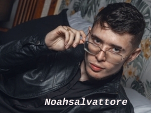 Noahsalvattore