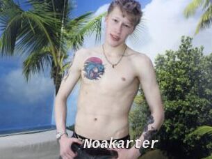 Noakarter