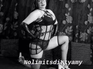 Nolimitsdirtyamy