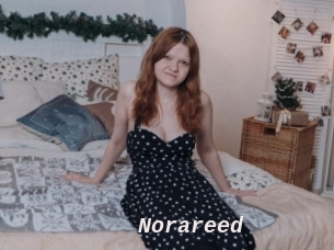 Norareed