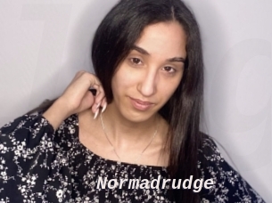Normadrudge