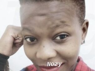 Nozy
