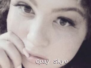 Opay_Skye