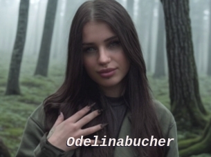 Odelinabucher