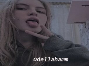 Odellahamm
