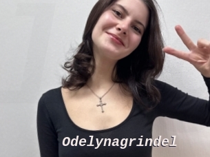 Odelynagrindel