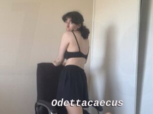 Odettacaecus