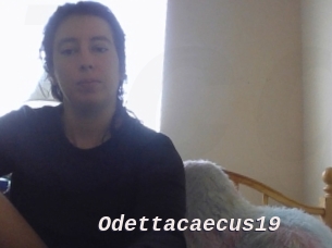 Odettacaecus19