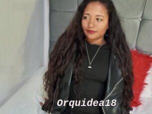Orquidea18