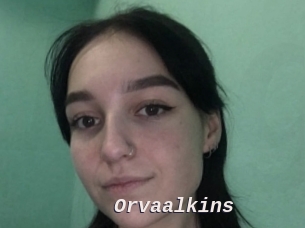 Orvaalkins