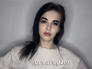 Orvafugler