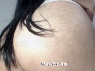 PAMELA_N