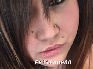 Palikane88