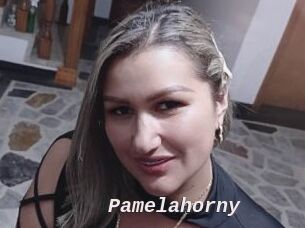 Pamelahorny Live Camgirls Sex