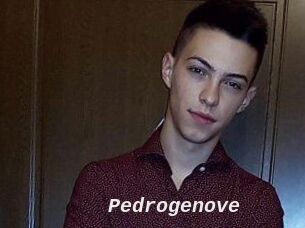 Pedrogenove
