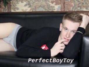 PerfectBoyToy