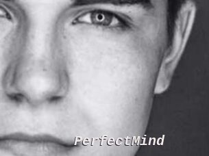 PerfectMind