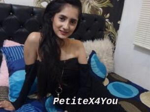 PetiteX4You