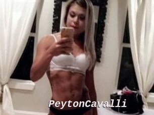 Peyton_Cavalli