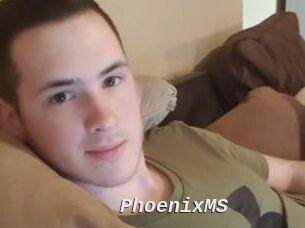 PhoenixMS