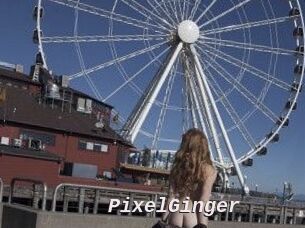 PixelGinger