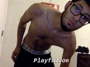 PlayfulJoe