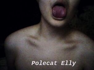 Polecat_Elly