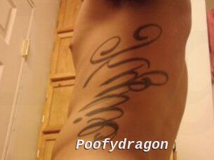 Poofydragon