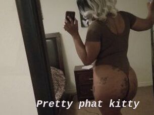 Pretty_phat_kitty