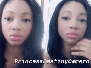 PrincessDestinyCamero