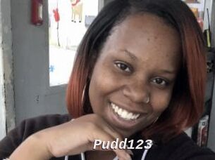 Pudd123