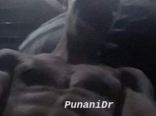 PunaniDr