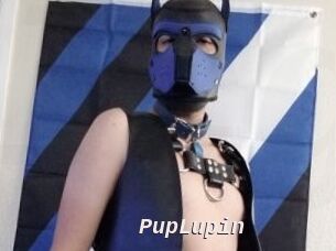 PupLupin Live Camgirls Sex
