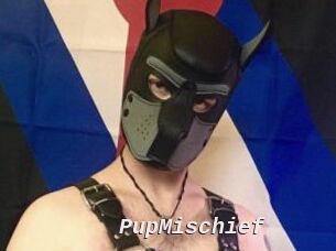 PupMischief