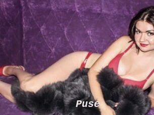 Puse