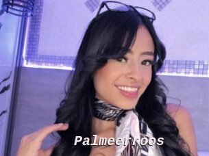 Palmeerroos